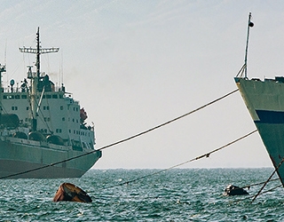 Seleccin de la mejor estructura legal para operar a nivel internacional