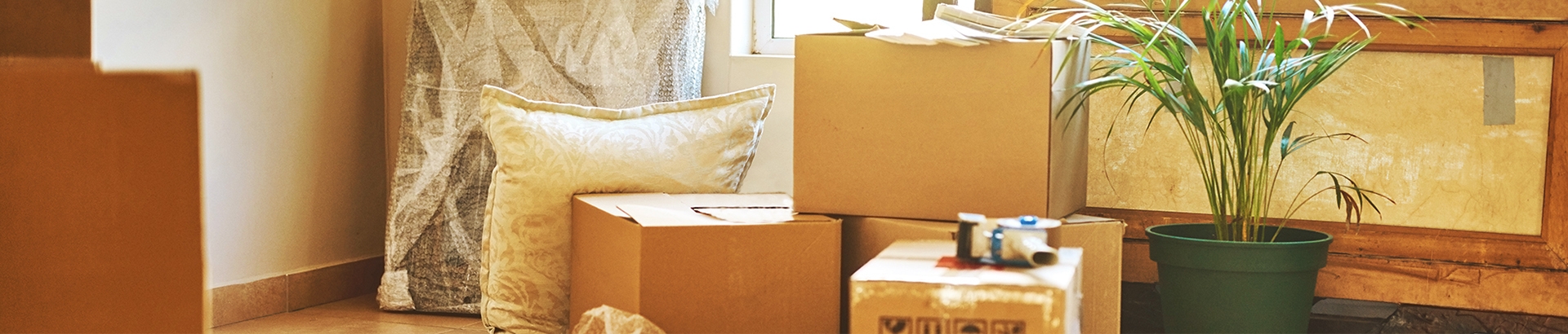 10 aos asesorando a nuestros clientes